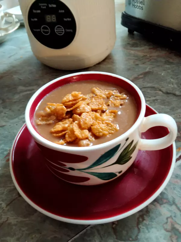 Соевая корова (аппарат для получения соевого молока, soy milk maker)