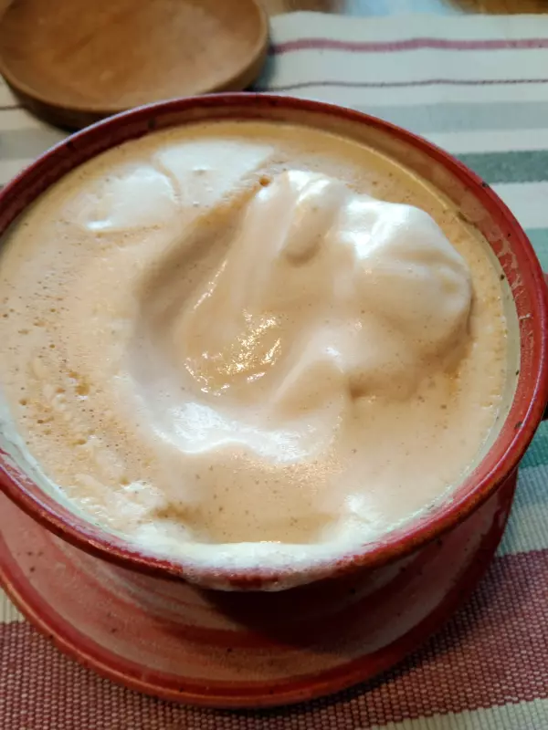 Соевая корова (аппарат для получения соевого молока, soy milk maker)