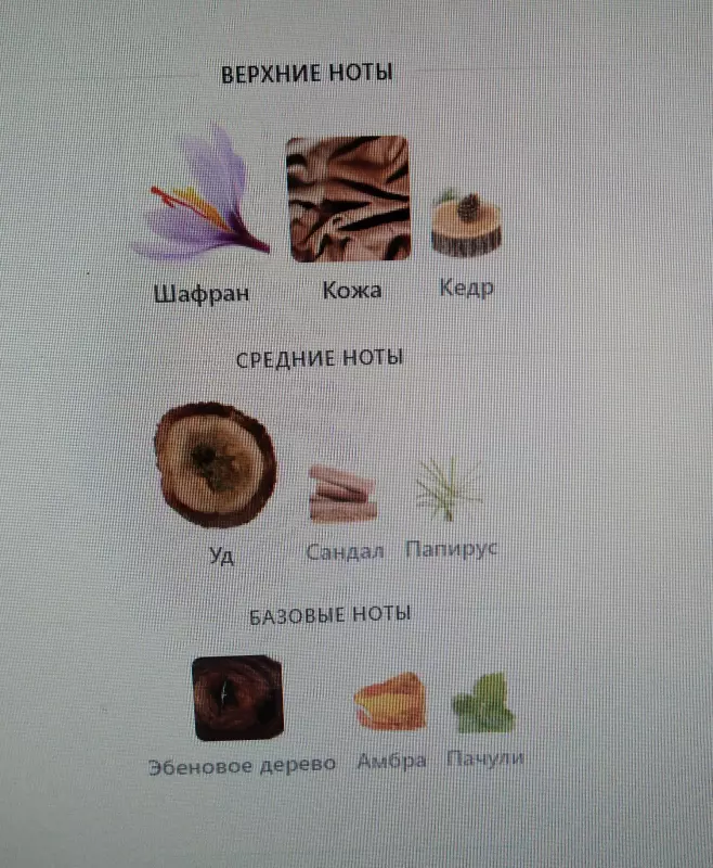 Духи, любимые и не очень