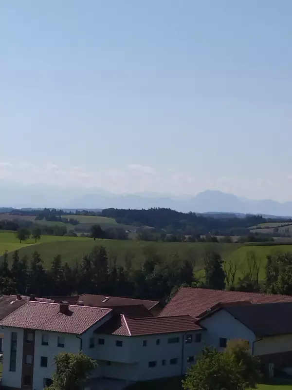 Tapтaлeтки & Ко