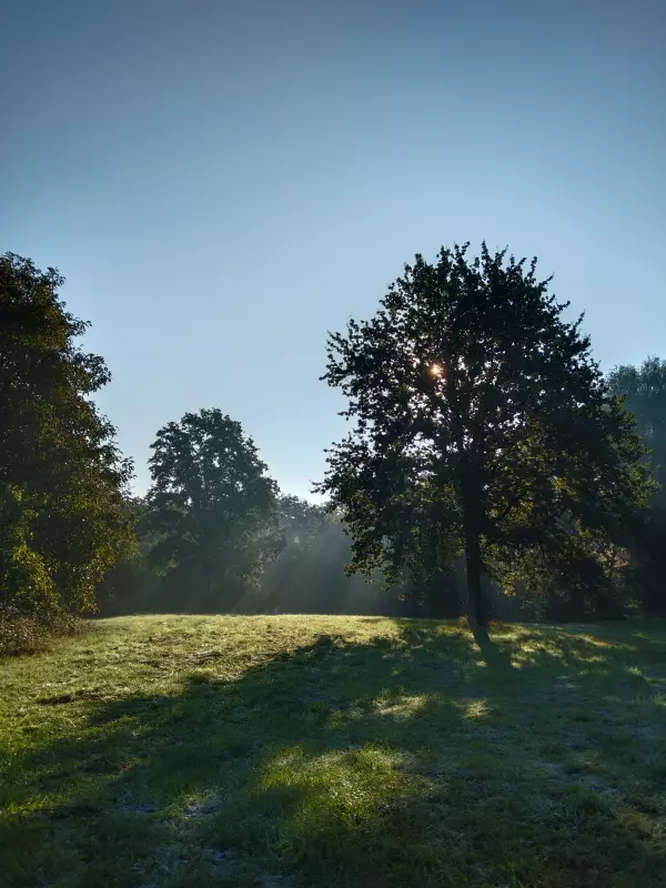 Tapтaлeтки & Ко