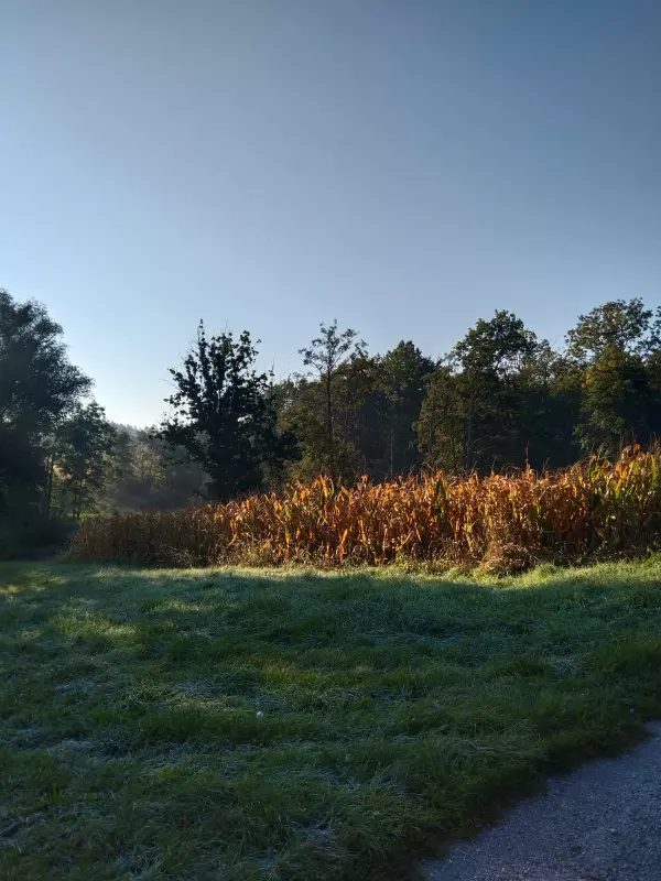 Tapтaлeтки & Ко