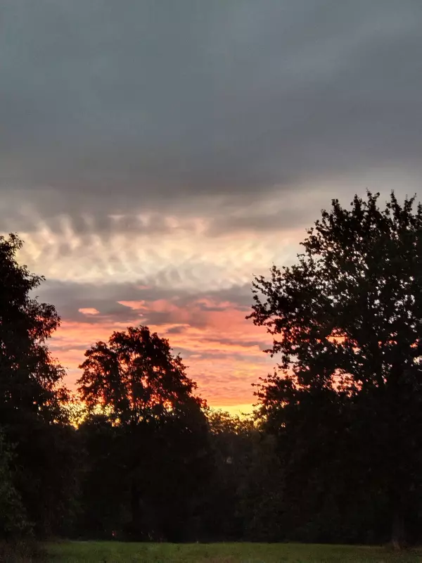 Tapтaлeтки & Ко