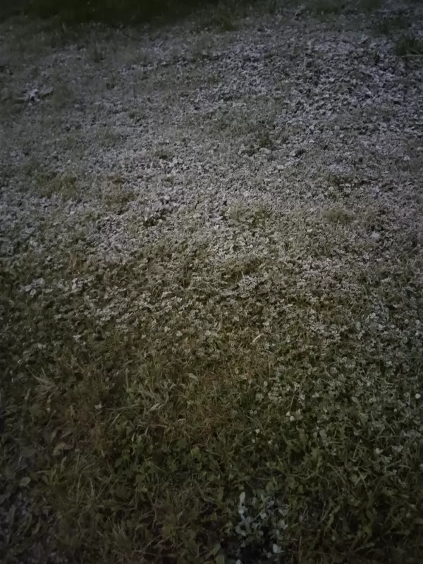 Tapтaлeтки & Ко