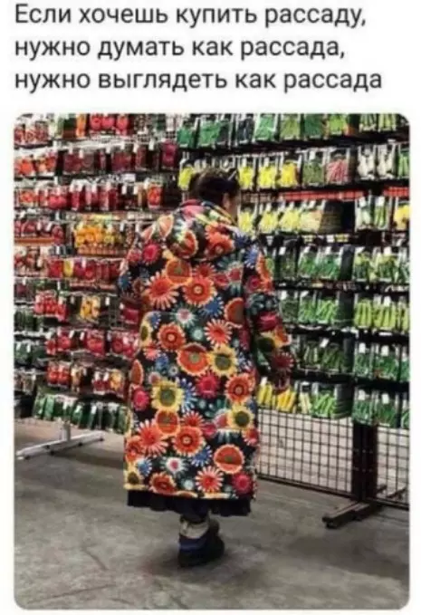 Tapтaлeтки & Ко