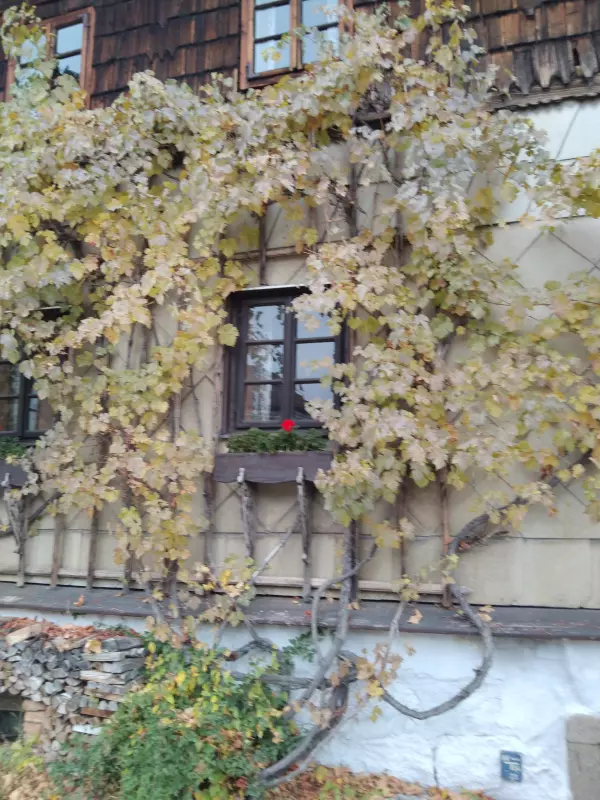 Tapтaлeтки & Ко