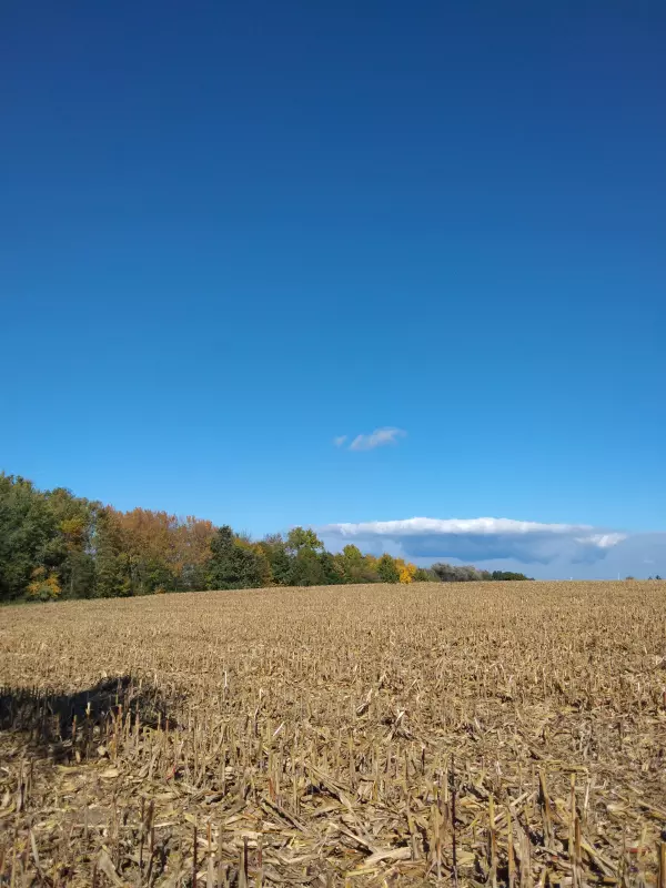 Tapтaлeтки & Ко