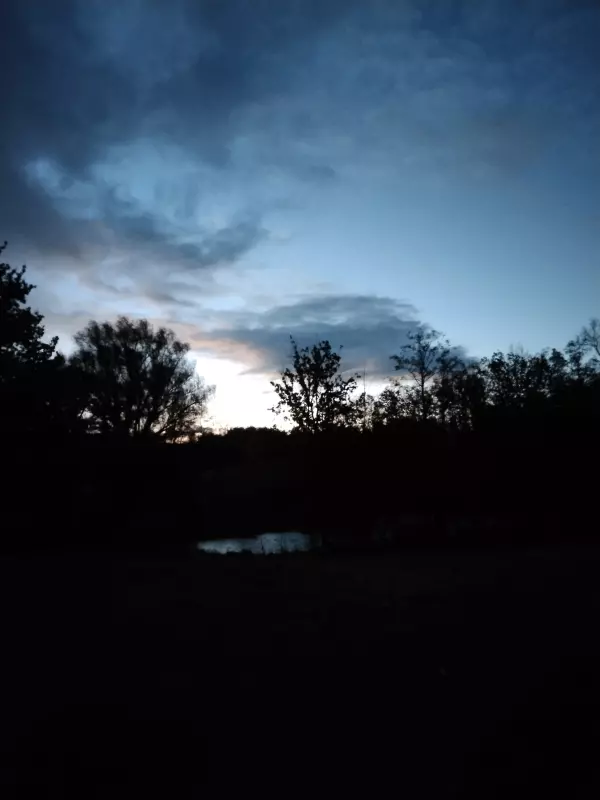 Tapтaлeтки & Ко