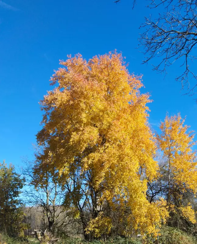 Tapтaлeтки & Ко