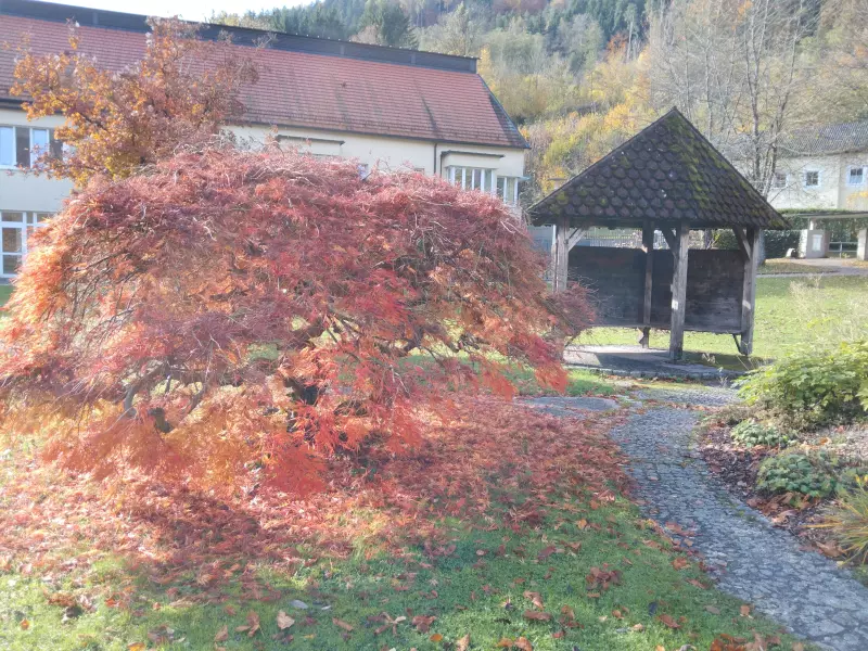 Tapтaлeтки & Ко