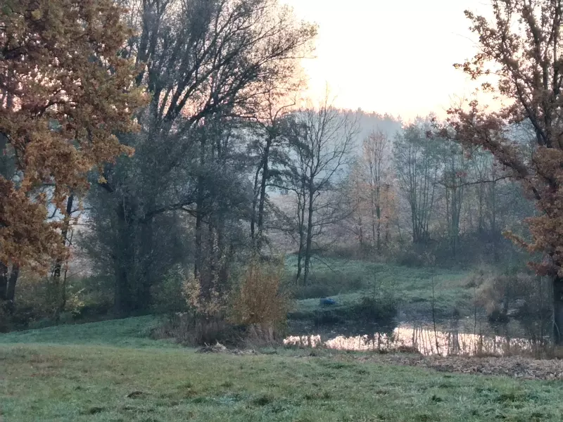 Tapтaлeтки & Ко