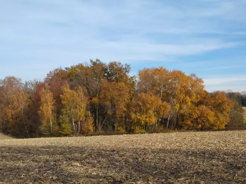 Tapтaлeтки & Ко