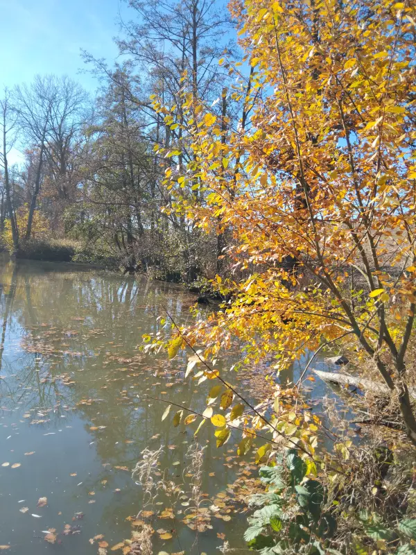 Tapтaлeтки & Ко