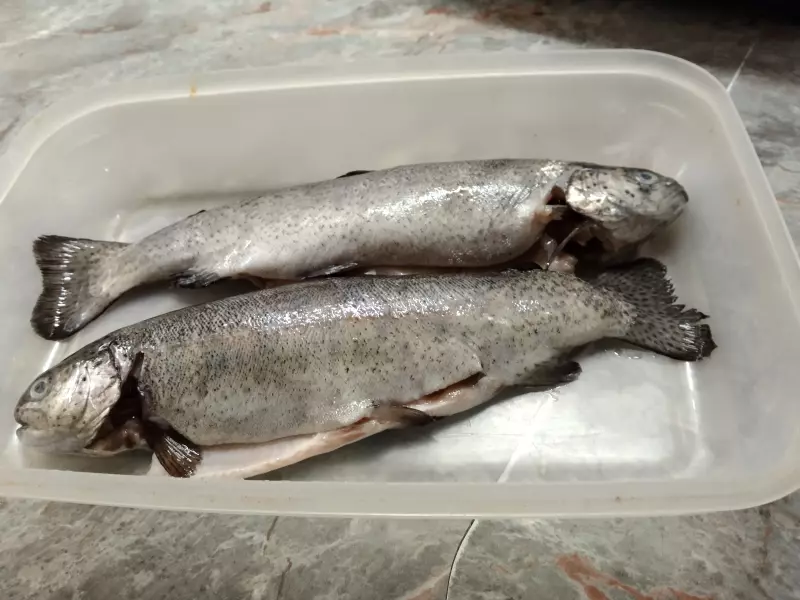 Tapтaлeтки & Ко