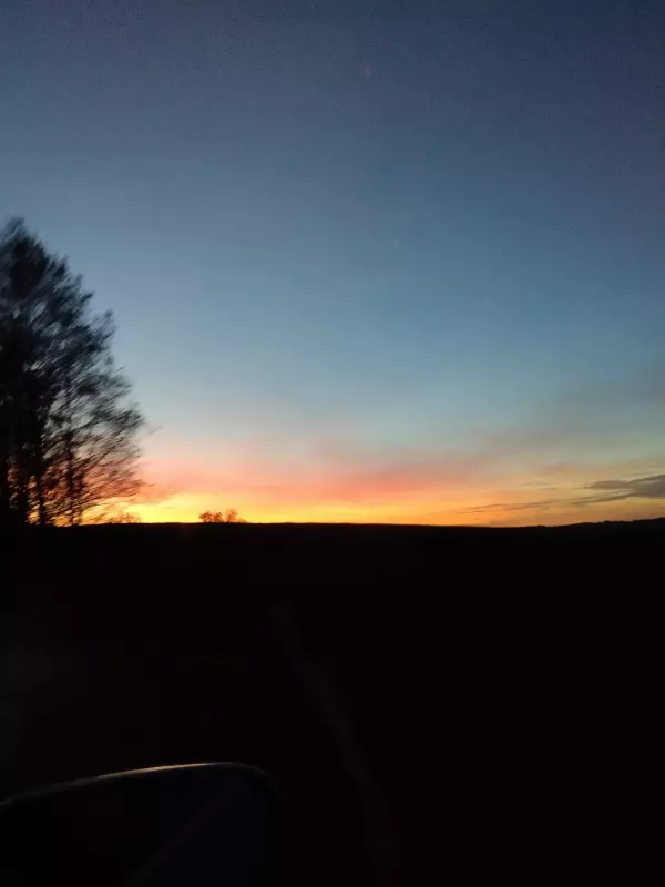 Tapтaлeтки & Ко