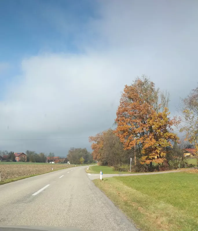 Tapтaлeтки & Ко