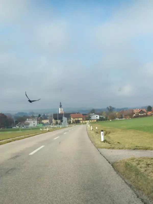 Tapтaлeтки & Ко