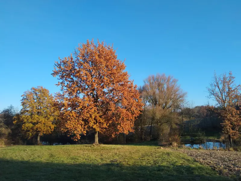 Tapтaлeтки & Ко