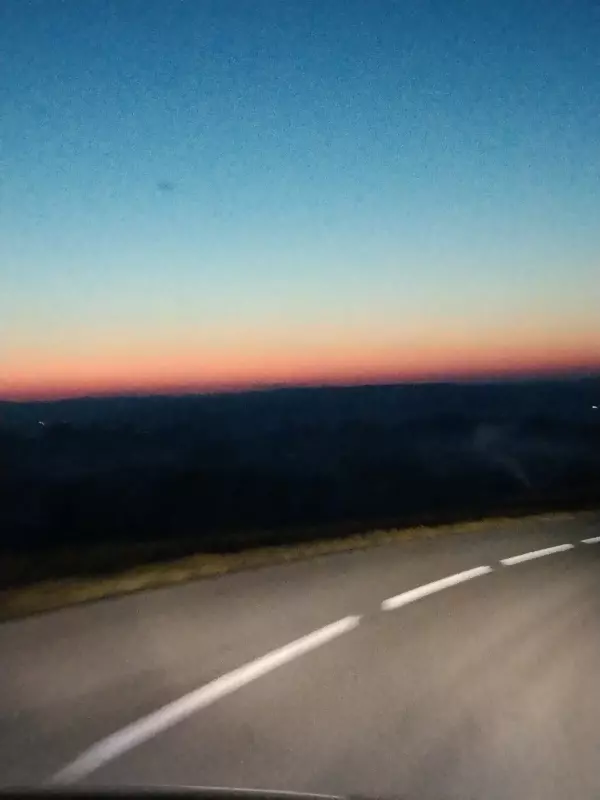 Tapтaлeтки & Ко