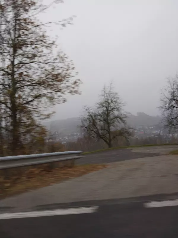 Tapтaлeтки & Ко