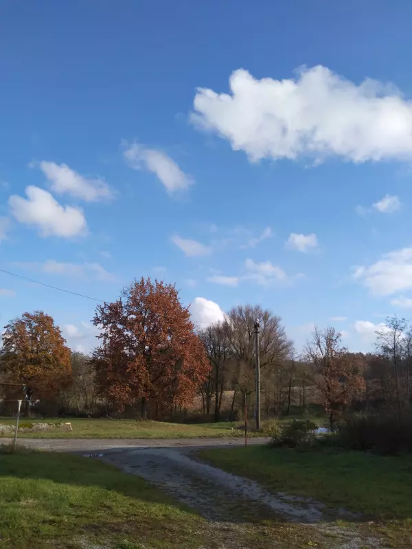 Tapтaлeтки & Ко