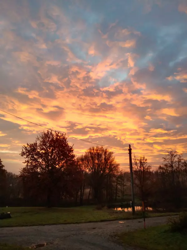 Tapтaлeтки & Ко