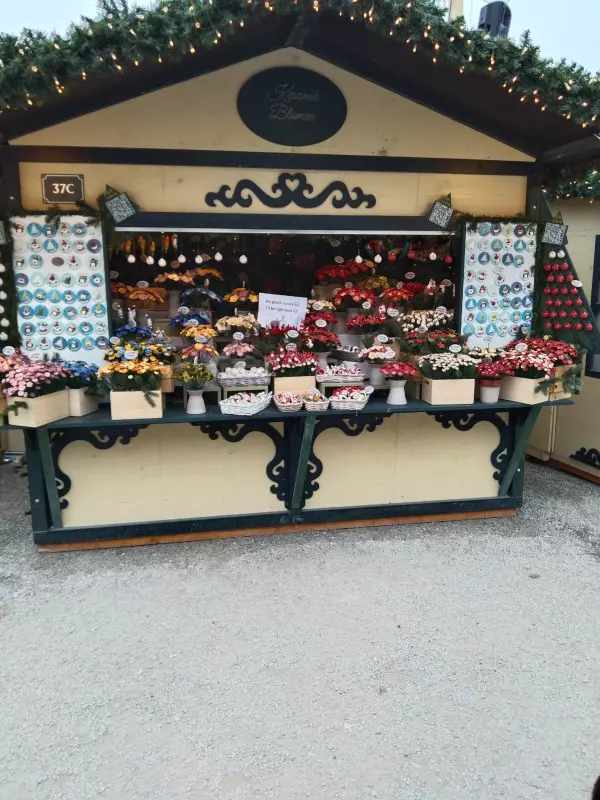 Tapтaлeтки & Ко