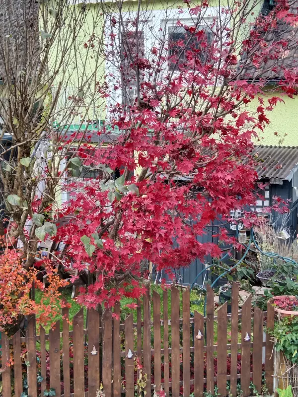 Tapтaлeтки & Ко