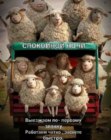 Tapтaлeтки & Ко