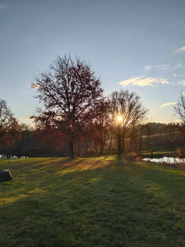 Tapтaлeтки & Ко