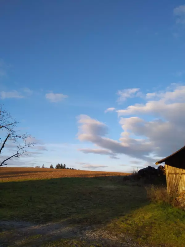 Tapтaлeтки & Ко