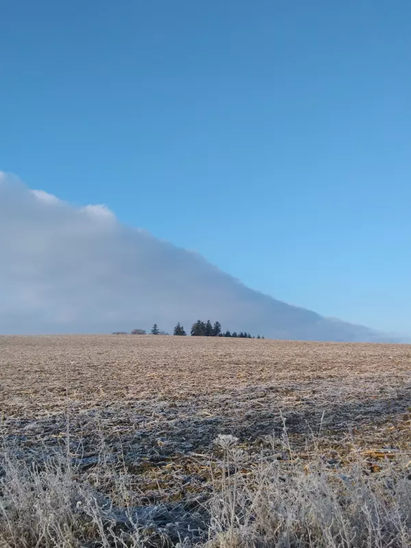 Tapтaлeтки & Ко