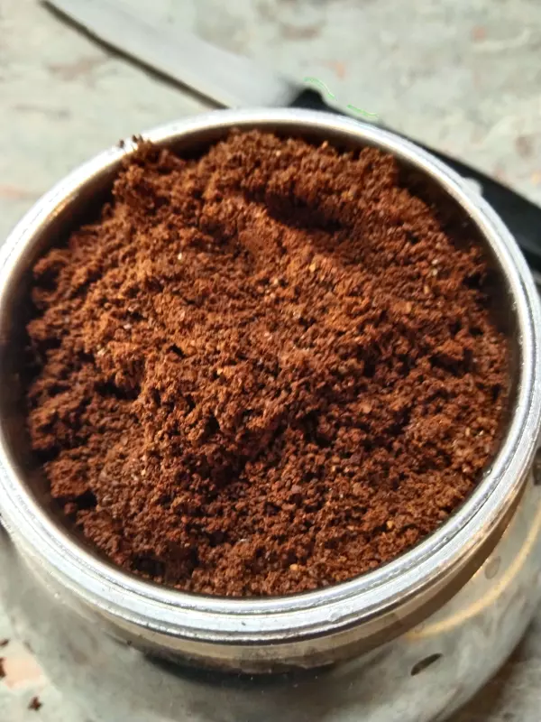 Tapтaлeтки & Ко