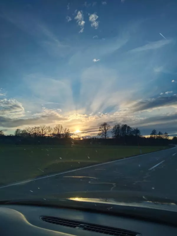 Tapтaлeтки & Ко