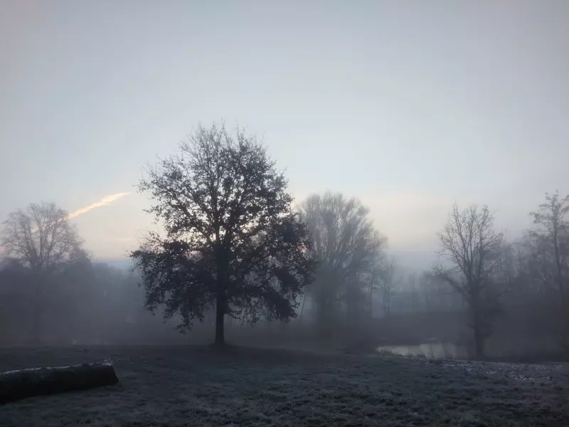 Tapтaлeтки & Ко