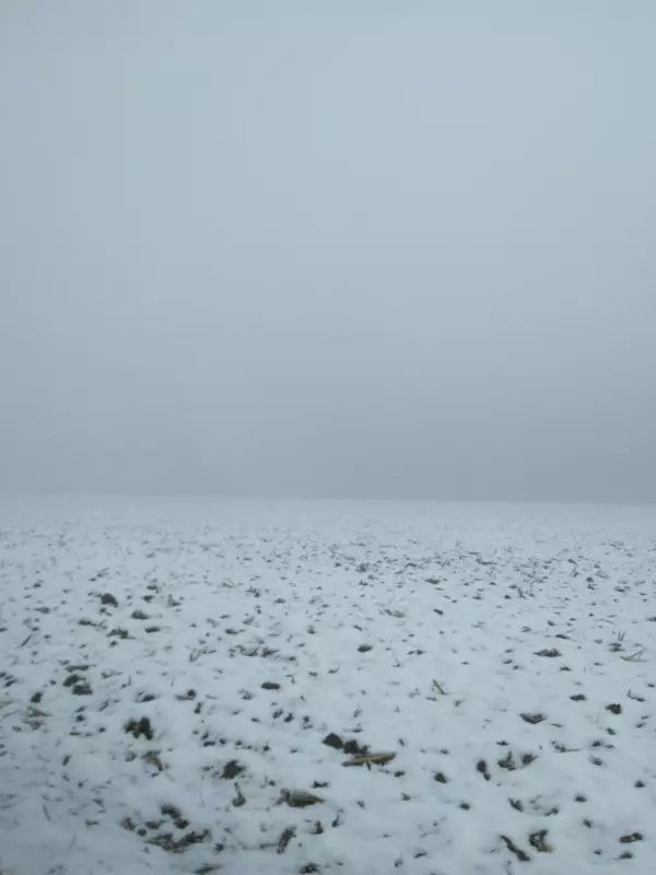 Tapтaлeтки & Ко