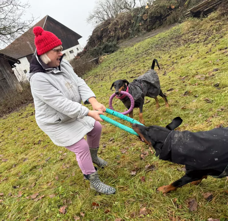 Tapтaлeтки & Ко