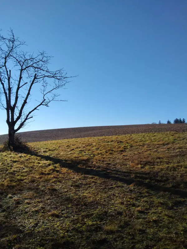 Tapтaлeтки & Ко