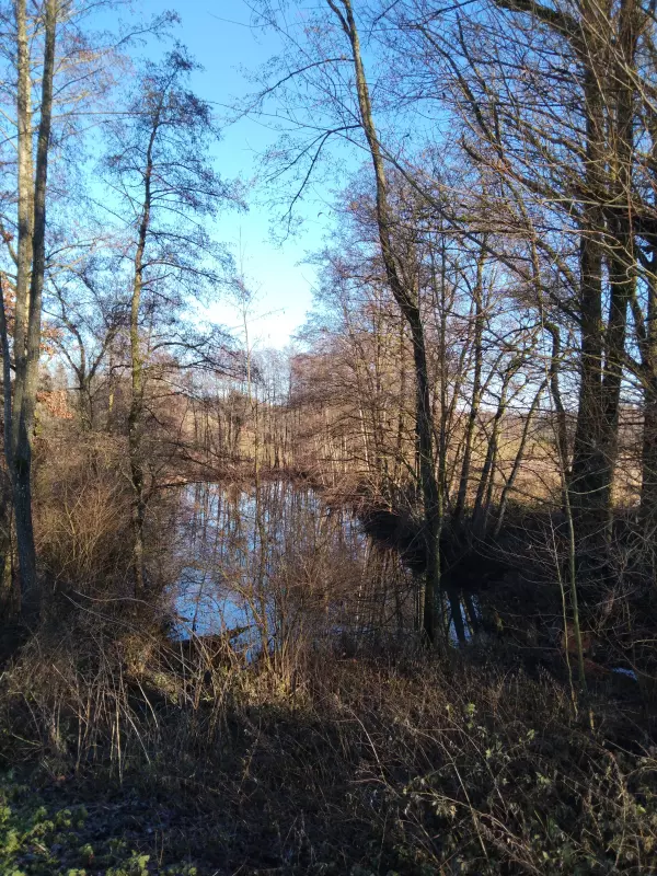 Tapтaлeтки & Ко