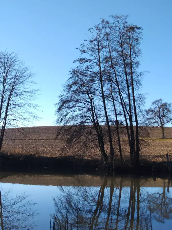 Tapтaлeтки & Ко