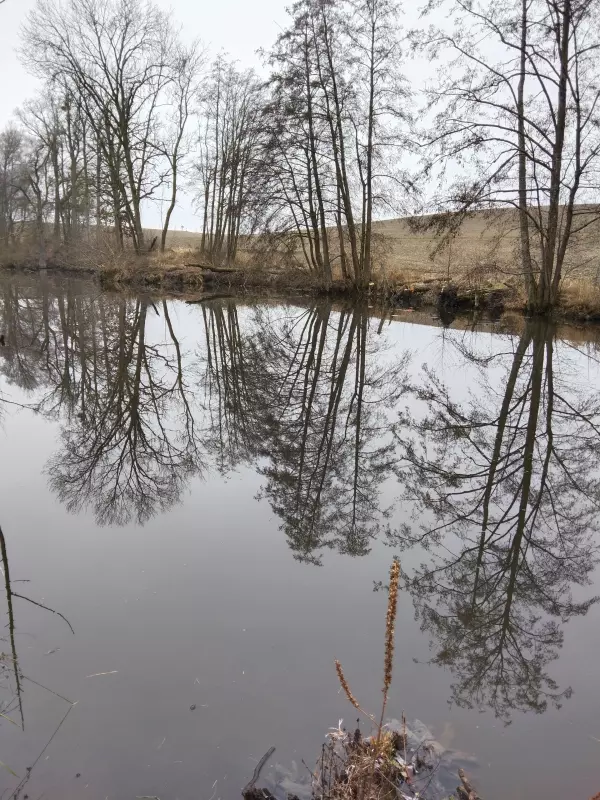 Tapтaлeтки & Ко