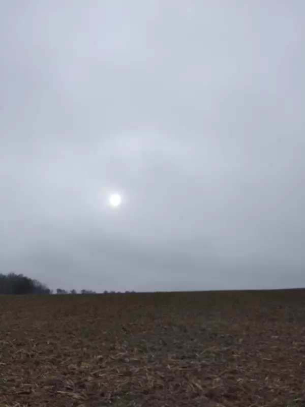 Tapтaлeтки & Ко