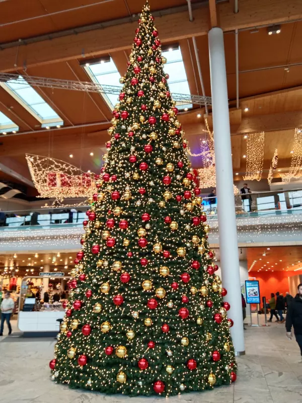 Tapтaлeтки & Ко