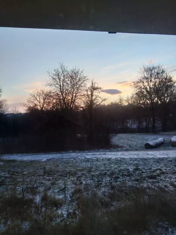 Tapтaлeтки & Ко