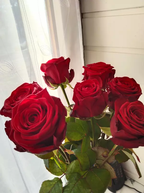 Tapтaлeтки & Ко