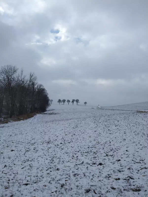 Tapтaлeтки & Ко