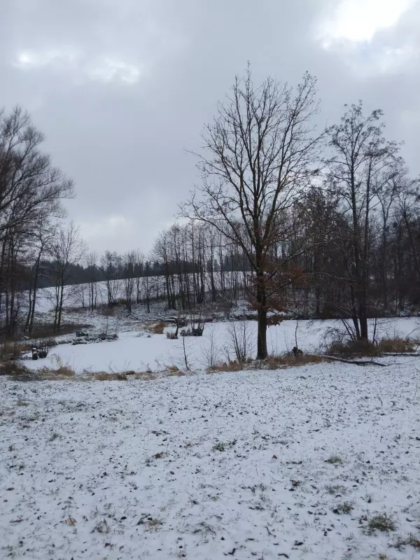 Tapтaлeтки & Ко