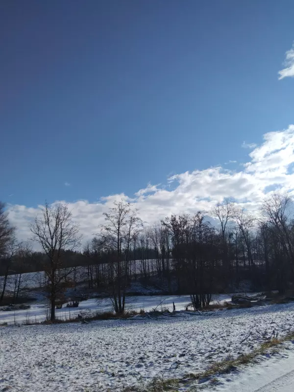 Tapтaлeтки & Ко