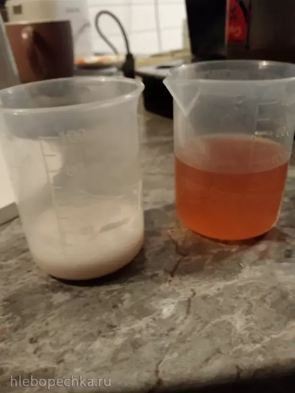 Tapтaлeтки & Ко