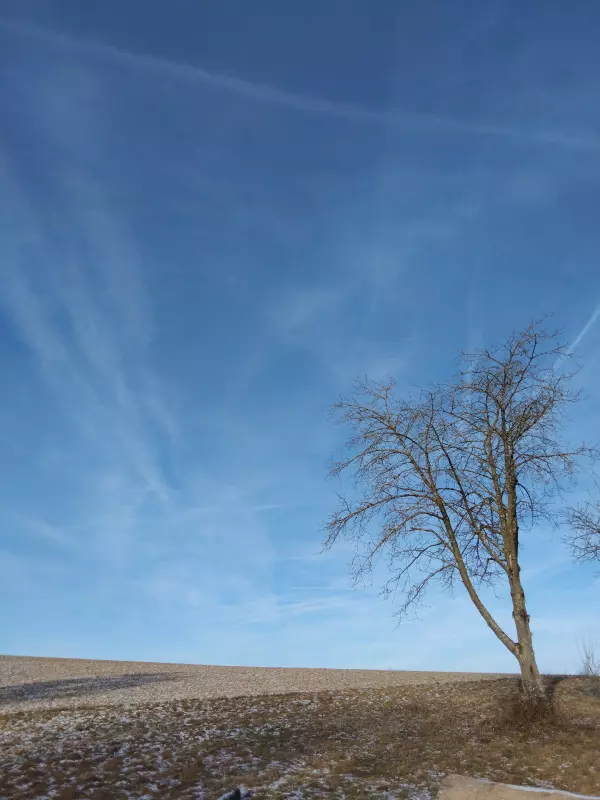 Tapтaлeтки & Ко